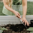 Here's Why Gardening Is My New at-Home Workout of Choice