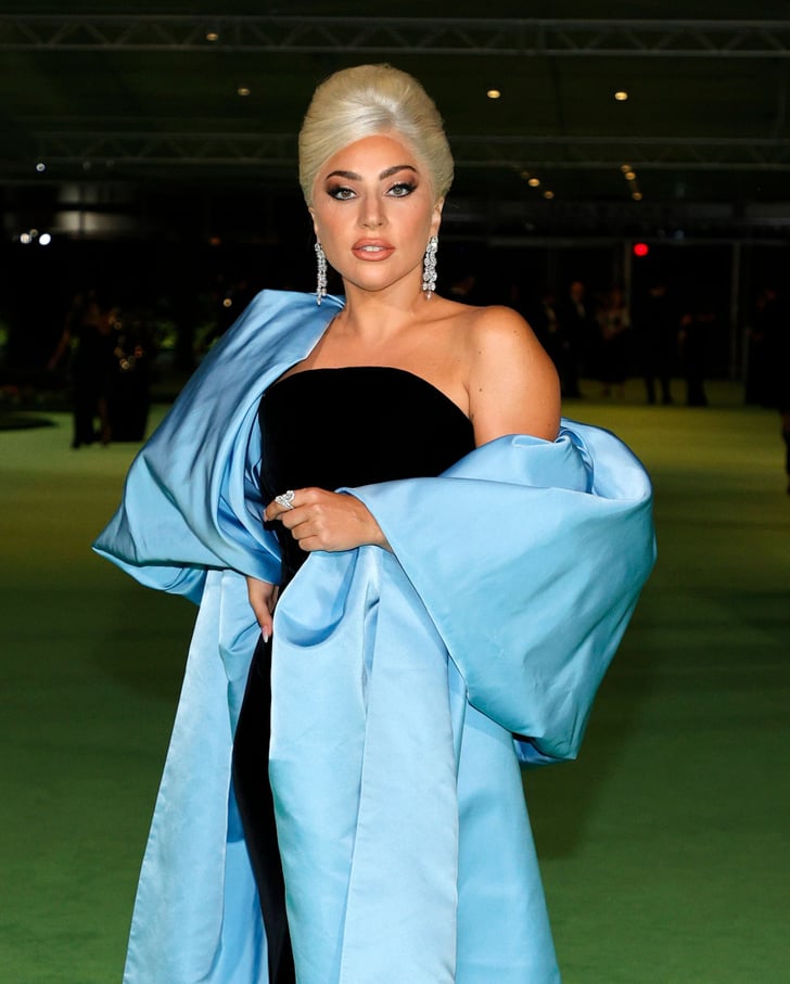 lady gaga black velvet schiaparelli gown