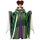 Adult Winifred Sanderson Plus Size Costume The Signature Collection
