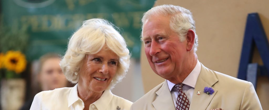 Prince Charles and Camilla Relationship Facts