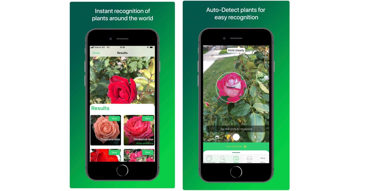 PlantSnap Plant Identification | Top iPhone Apps of 2018 ...