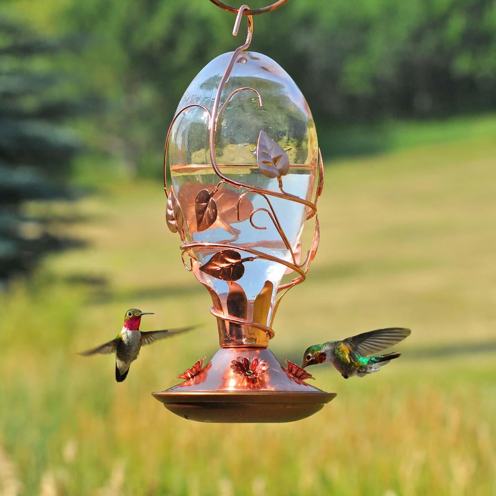 玻璃和铜喂食器:活泼的宠物看玻璃蜂鸟喂食器