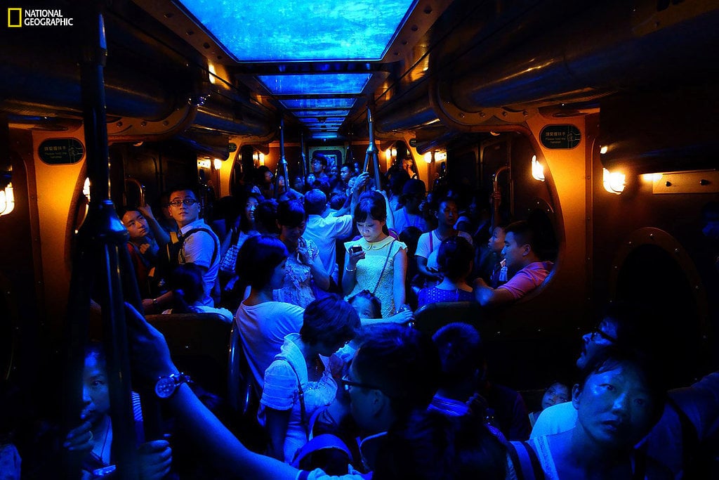 NatGeo Photo Contest Winners 2014