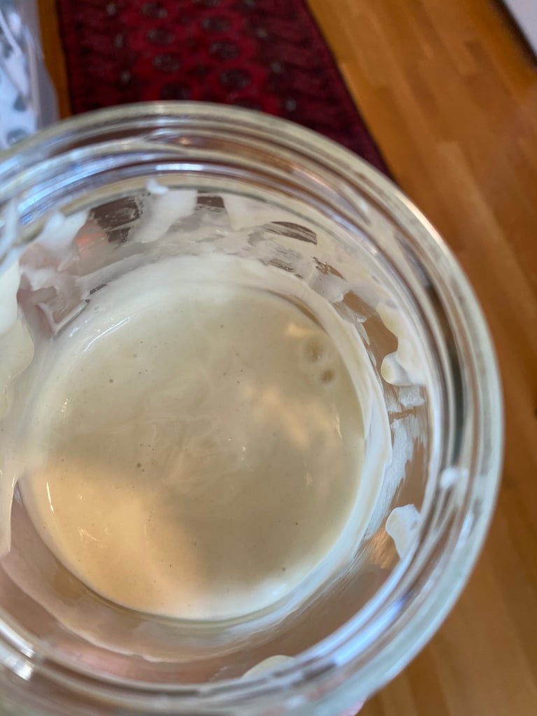 Sourdough Starter Day 6