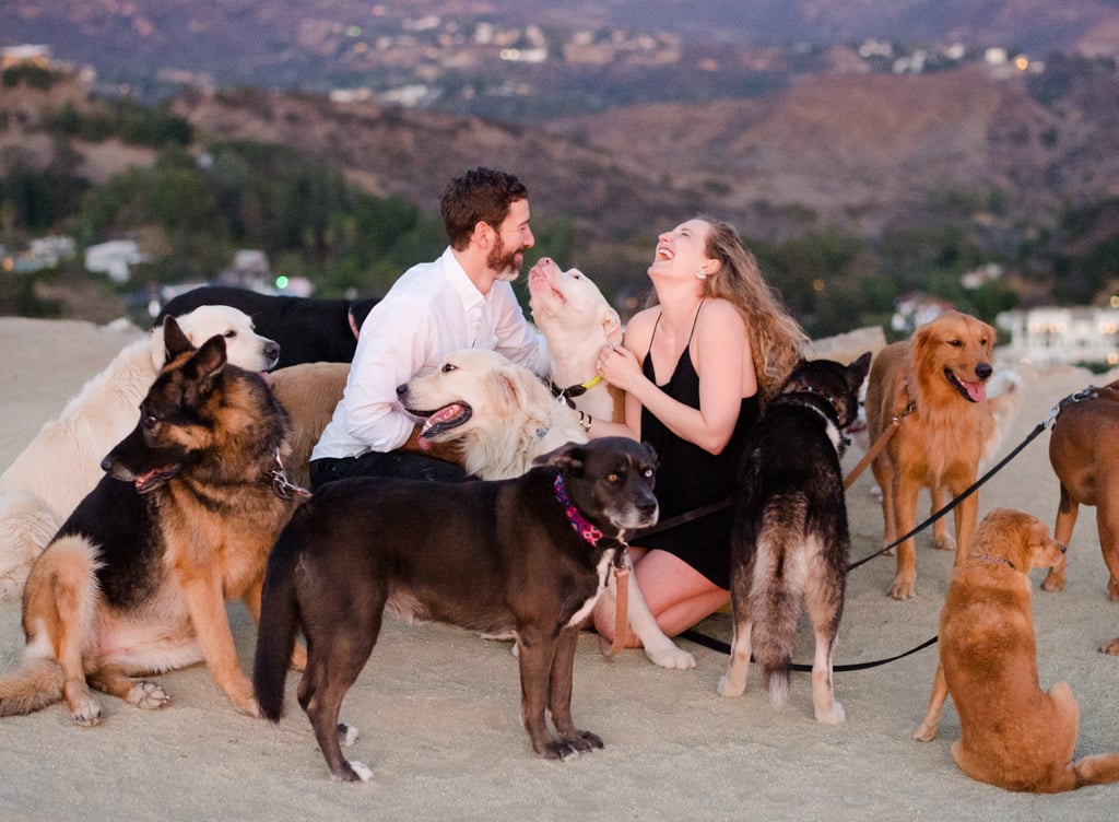 Man Proposes to His Girlfriend With 16 Dogs