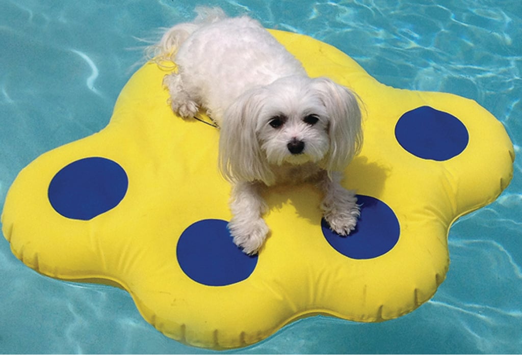 Paws Aboard Inflatable Doggy Lazy Raft for Small Dogs