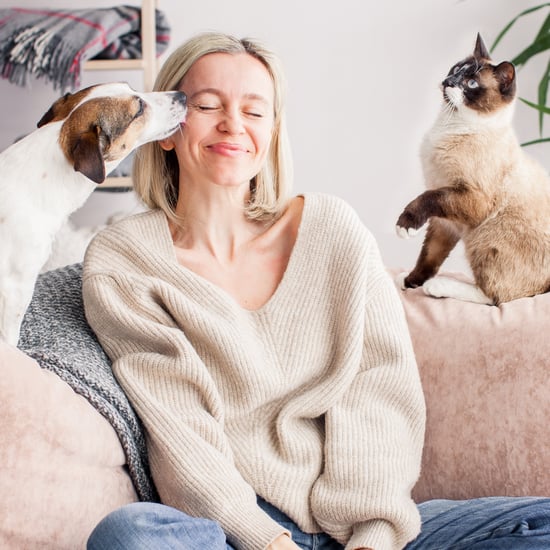 Pet Products to Have on Hand at All Times