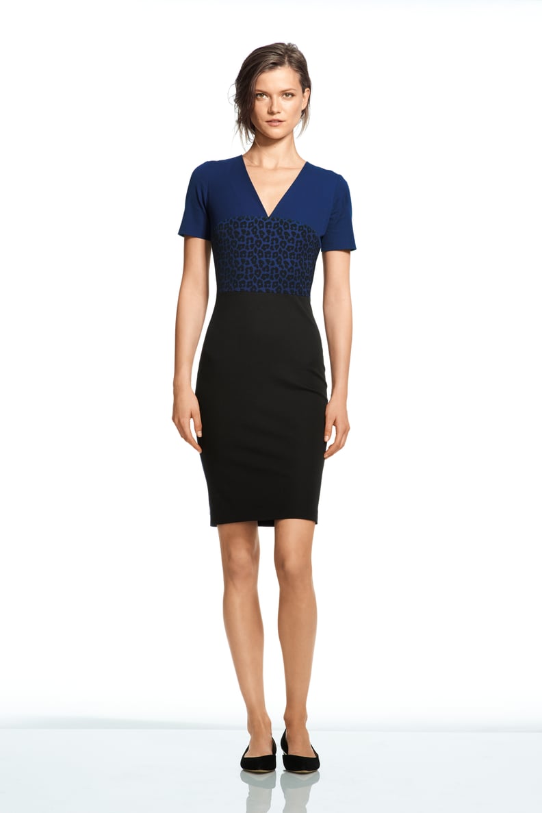 Roland Mouret For Banana Republic Leopard Vee Dress