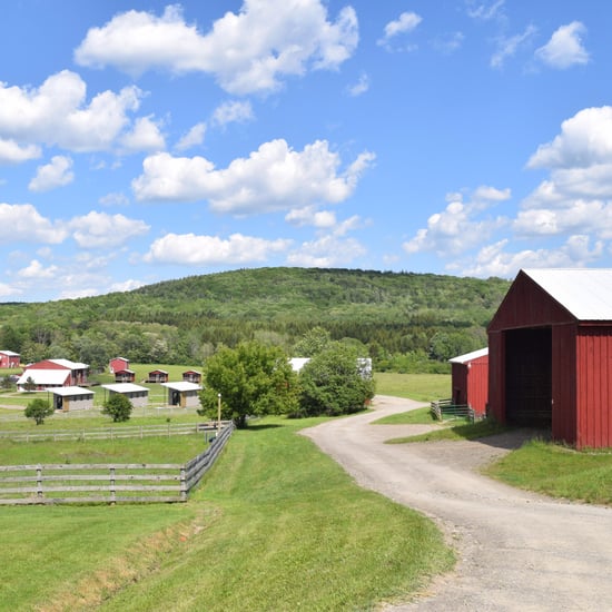 Farm Sanctuary Pictures