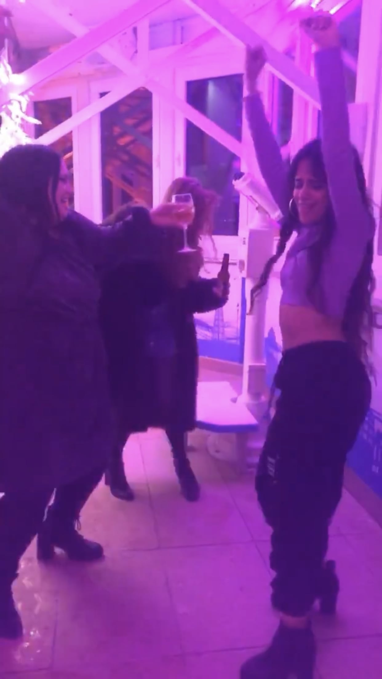 Camila Cabello Has A Cinderella Themed 23rd Birthday Party Popsugar Celebrity