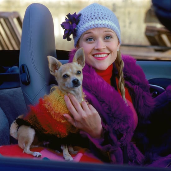 Signs You Like Dogs More Than People