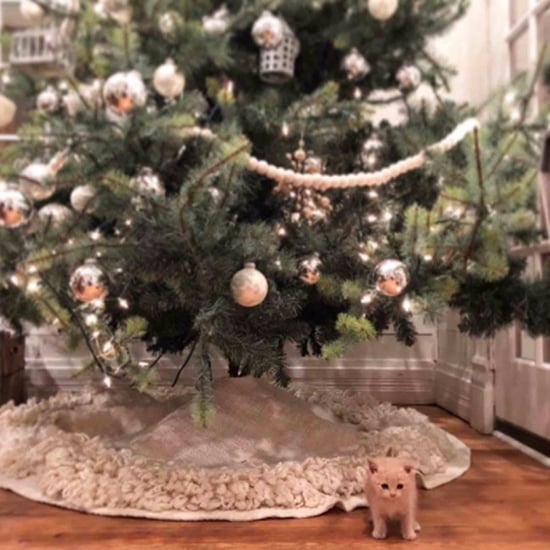 Chip and Joanna Gaines's New Cat