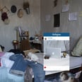 These Photos Shows Just How Much We All Lie on Instagram