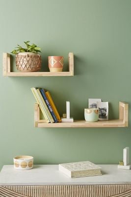 Carson Shelf