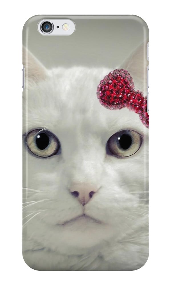 My Hello Kitty case ($25)