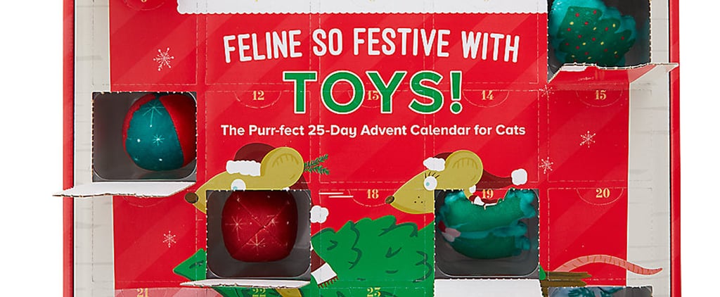 Advent Calendars For Cats 2020