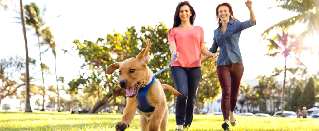 Do Dog Owners Exercise More?
