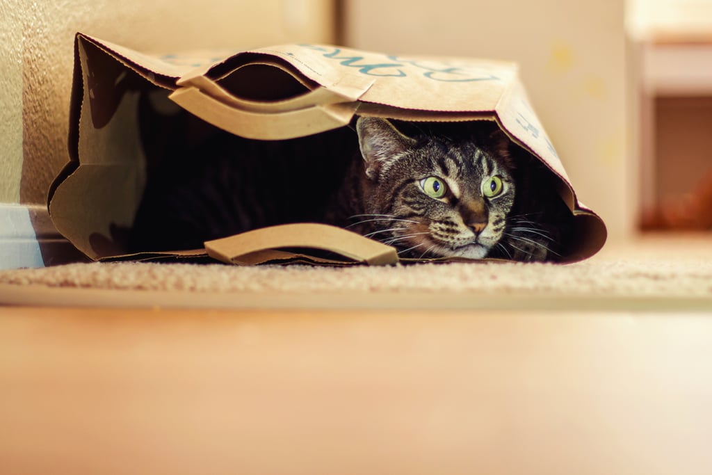 You Can Hide Anywhere