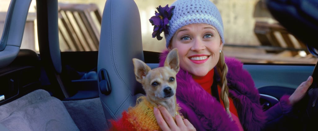 Signs You Like Dogs More Than People