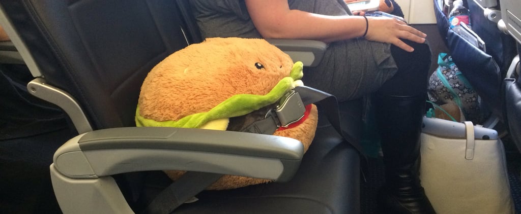 Stuffed Burger Rides on a Plane