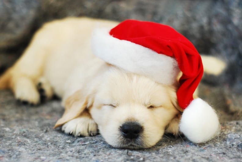 Santa's Sleepy Helper