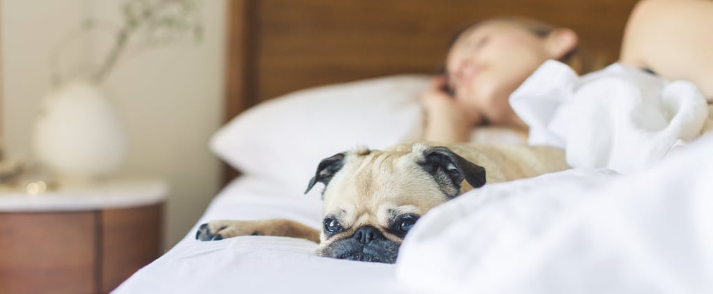Study Says Sleeping In Can Help You Live Longer