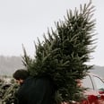 Will It Be Safe to Get a Real Christmas Tree This Year? Here's What to Know