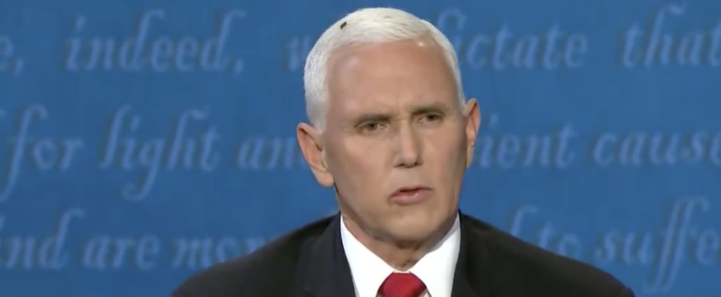 Fly Lands on Mike Pence's Head Vice Presidential Debate