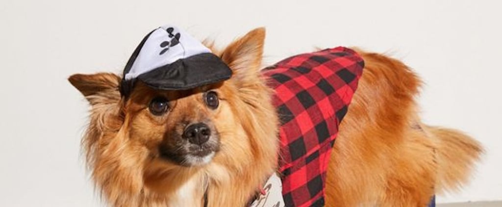 Urban Outfitters Has a Hipster Dog Costume For Halloween