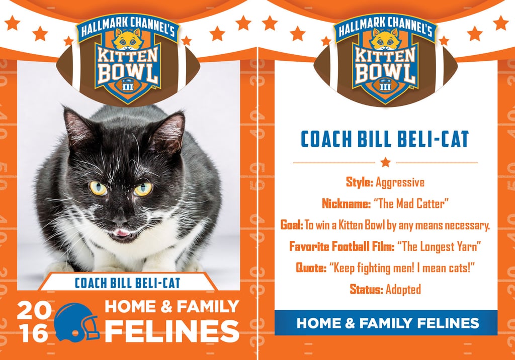 Kitten Bowl 2016