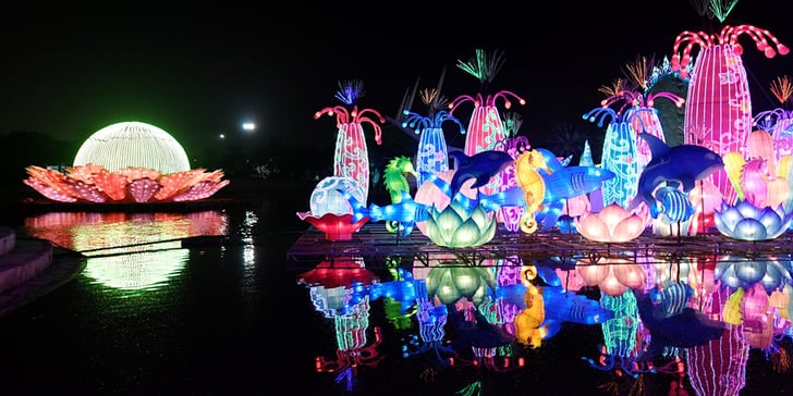 حديقة دبي المتوهجة تبدأ فعاليات موسمها الخامس 2019 Popsugar