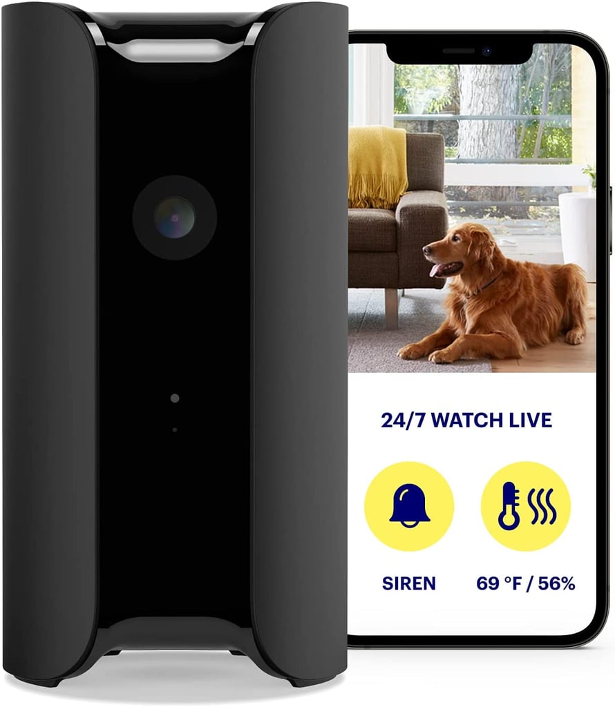 Kitchen and Dining: Canary Pro Indoor Home Security Camera With Climate Monitor
