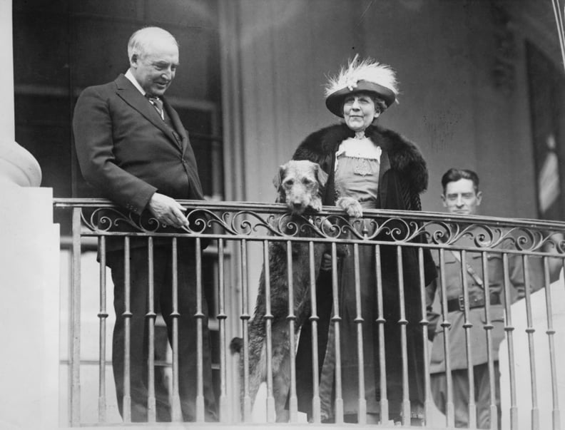 Warren G. Harding and His Dog, Laddie Boy
