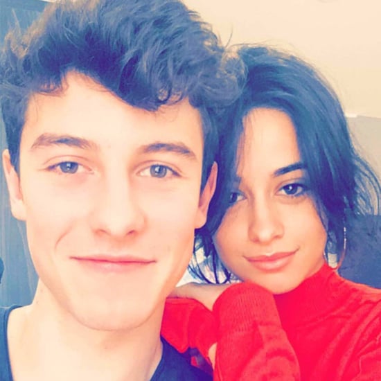 Camila Cabello and Shawn Mendes Instagram February 2017