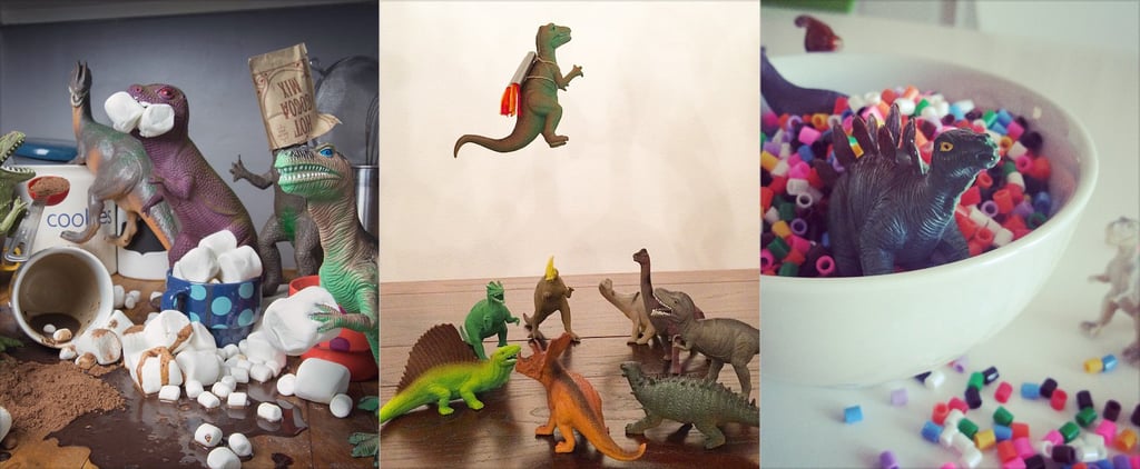 Real Dinovember Photos