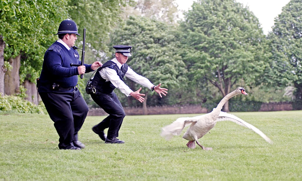 Hot Fuzz (2007)