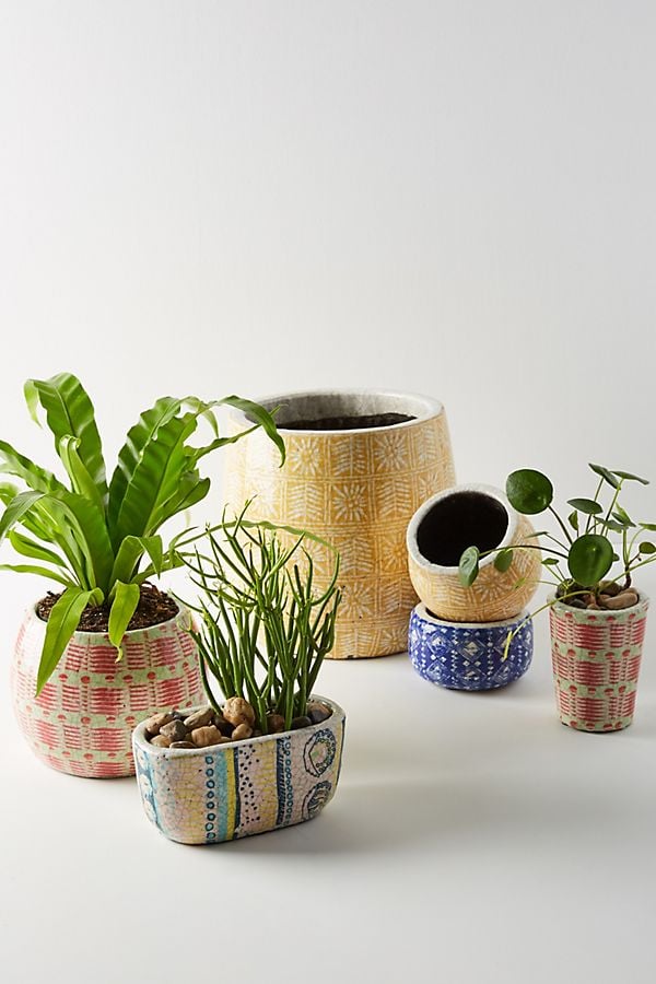 Anthropologie Marnie Pots