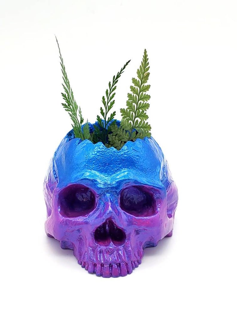 Skull Planter Succulent Holder