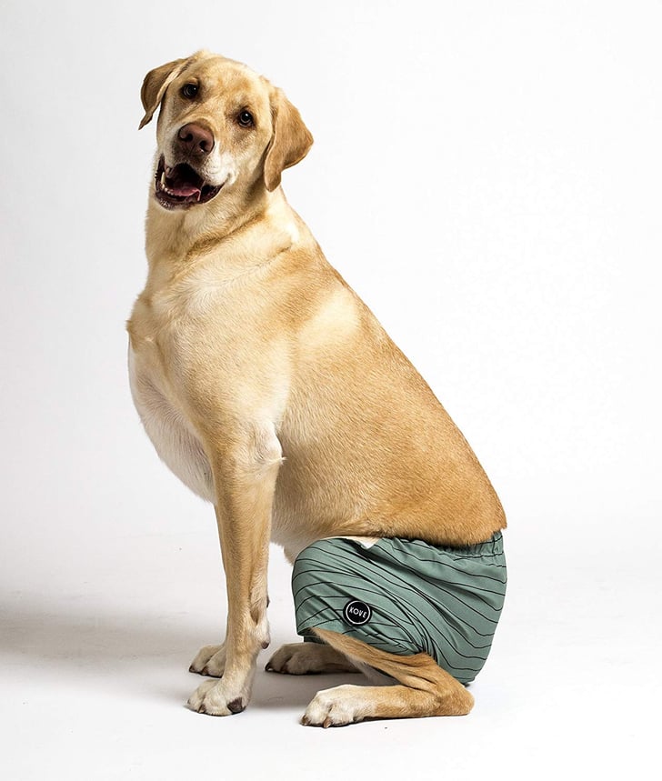 Kove Mate Dog Swim Trunks Best Summer Dog Products POPSUGAR Family