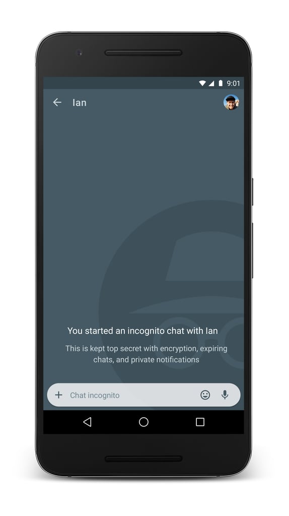 Secure your privacy in real time by chatting Incognito.