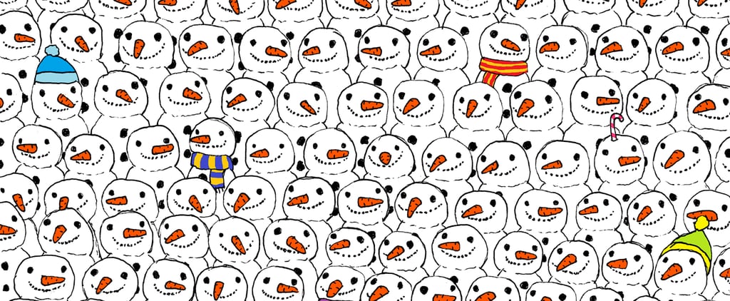Find the Panda in This Drawing