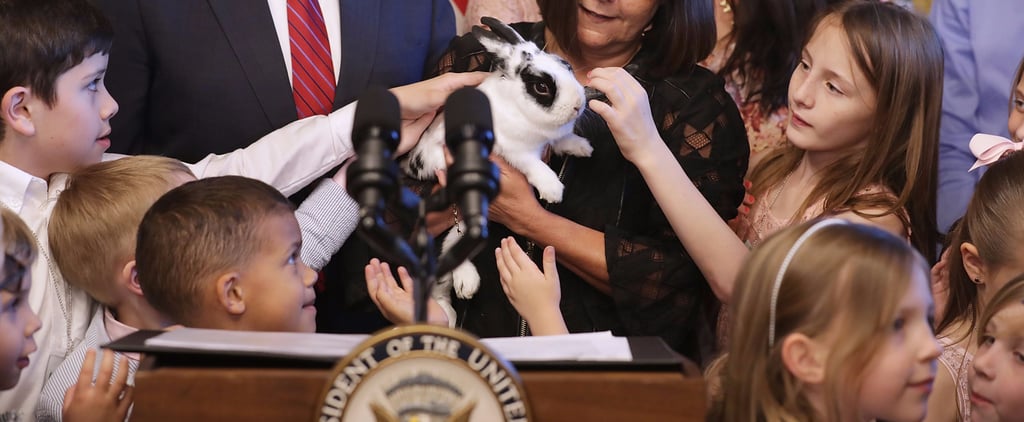 Cute Pictures of VP Mike Pence's Bunny Marlon Bundo
