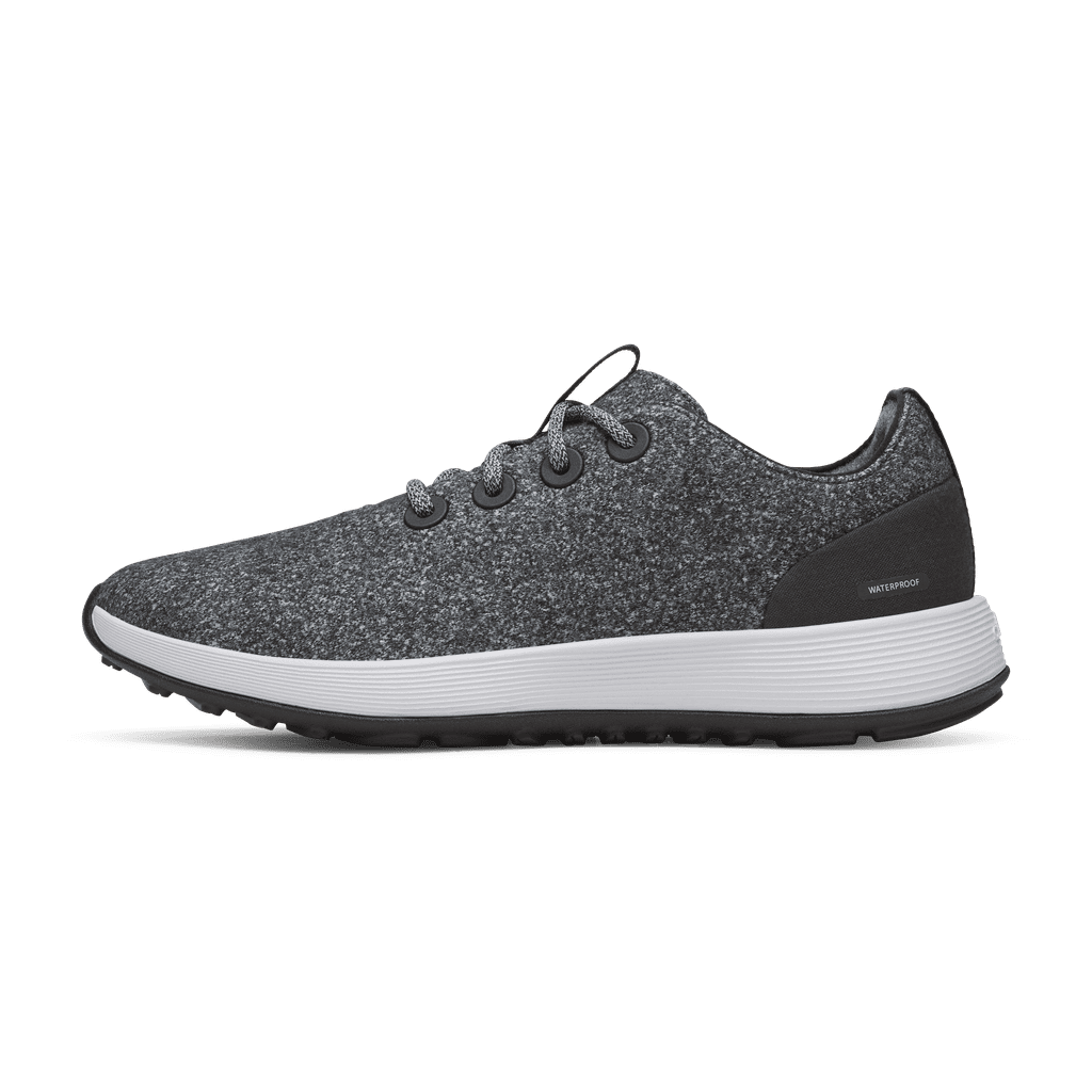 Allbirds Wool Sneakers