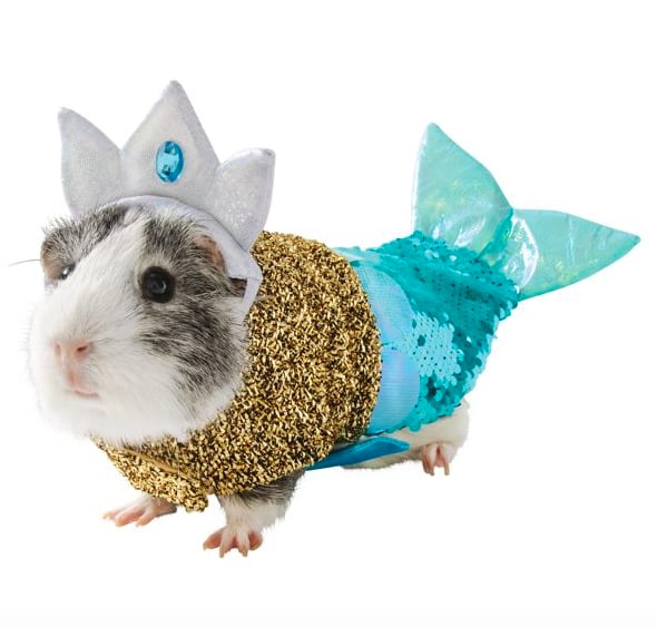 Thrills & Chills Small Pet Costume — Mermaid
