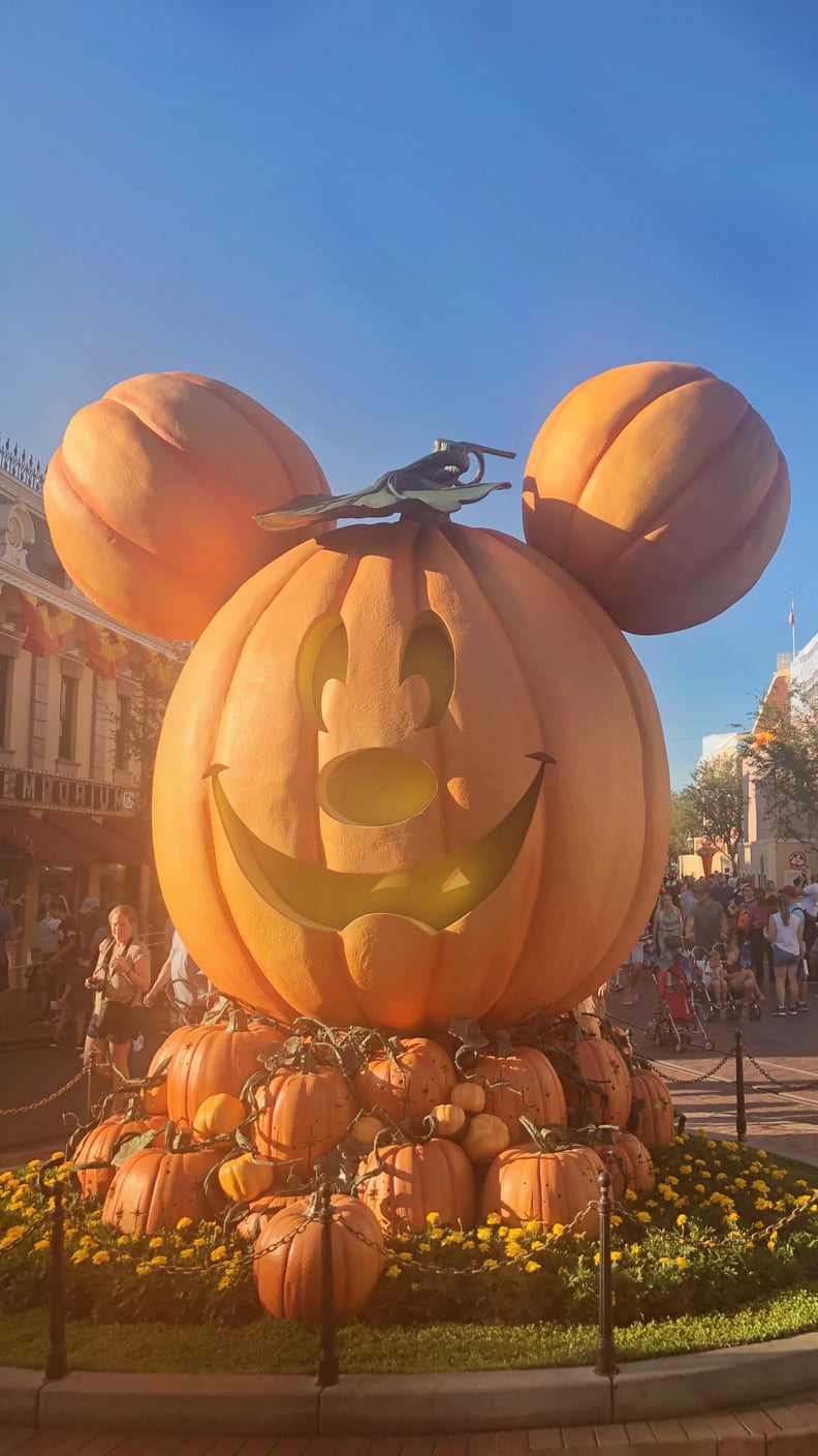 Get Your Mickey Pumpkin Photos