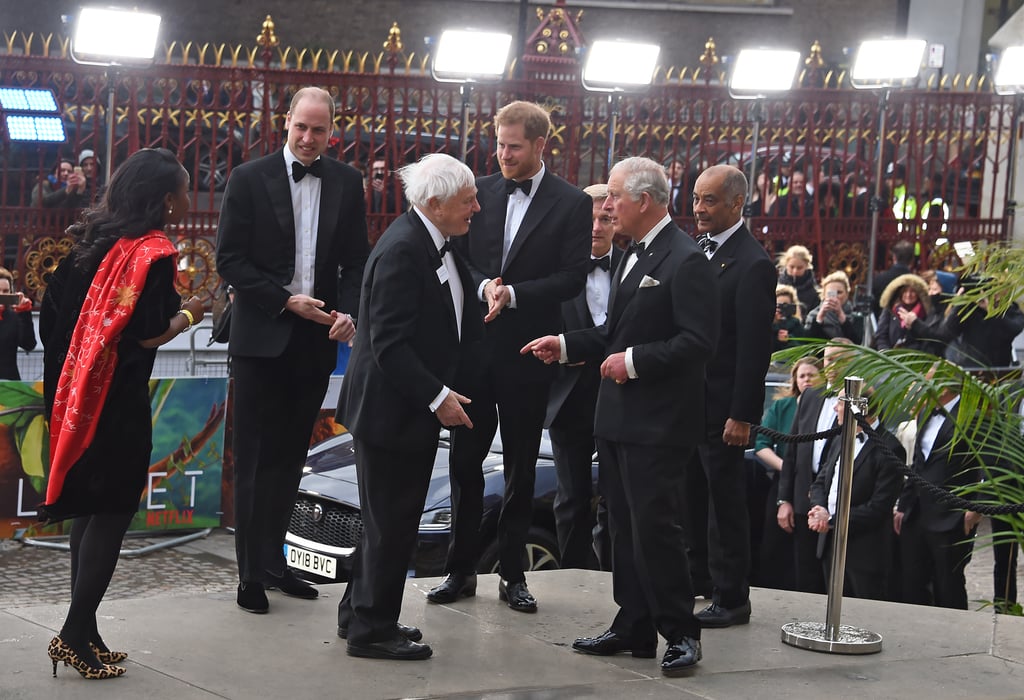 Harry, William, and Charles at Our Planet Premiere 2019