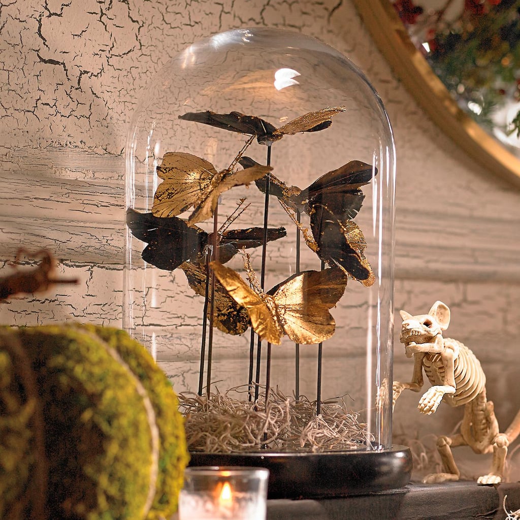 Butterfly Glass Dome | Glamorous Halloween Decor | POPSUGAR Home Photo 17