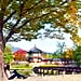 South Korea Travel Tips