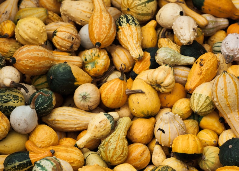 Gourds Zoom Backdrop