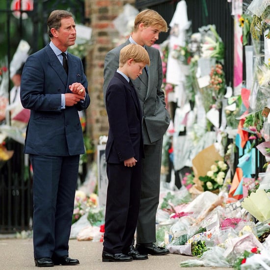 Prince Harry and Prince William Discuss Diana's Death